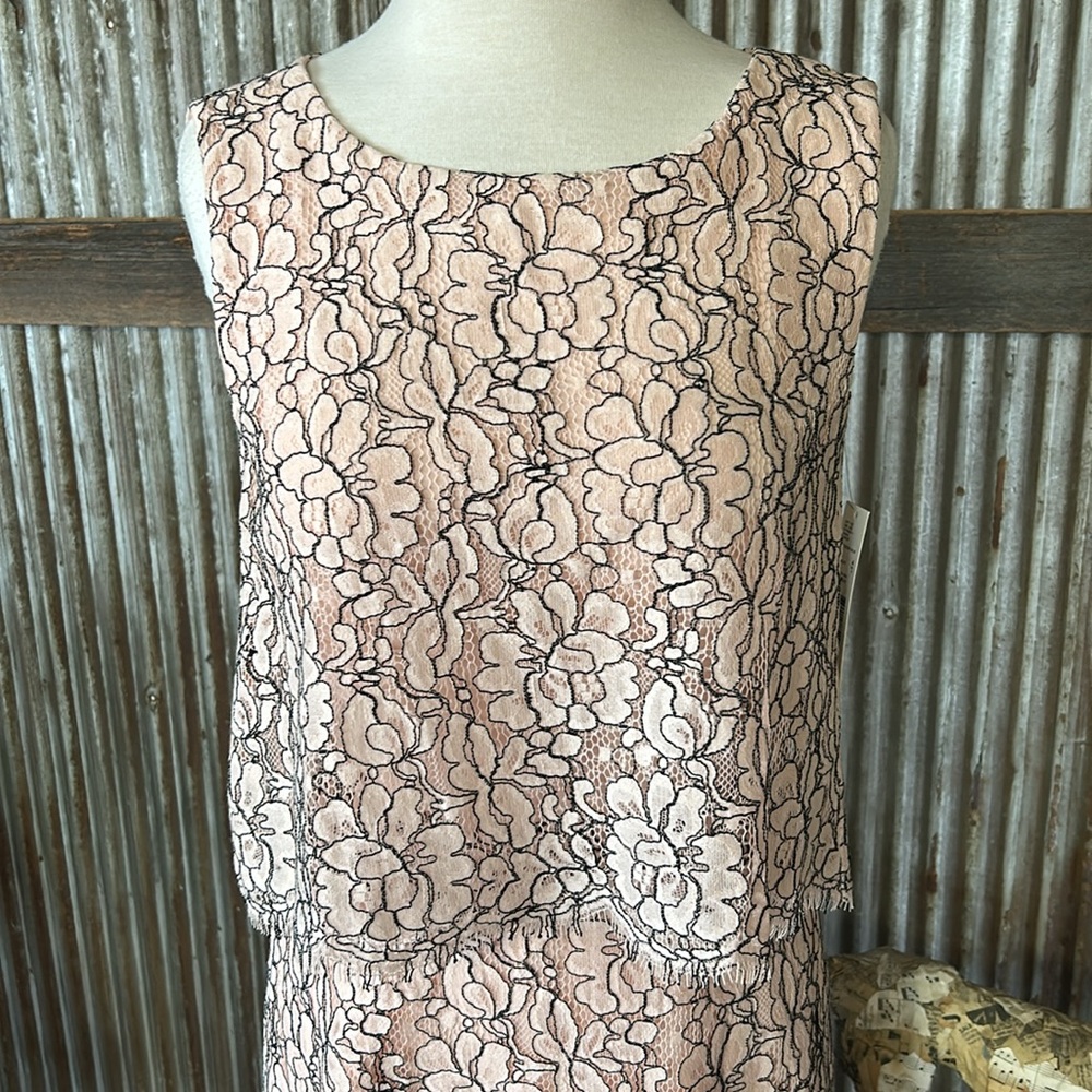 Antonio Melani Elegant Pink Lace Dress NWT! - Picture 2 of 11